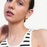 Shell Ear Studs