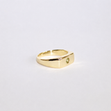 Blume-Jewellery-Single-Stone-Chunky-Rectangle-Signet=Ring-9-Carat-Solid-Gold-Yellow-classic-gemstone-Peridot-Garnet-Aquamarine-Citrine-Amethyst-pinky-ring-cool-modern-everyday-timeless