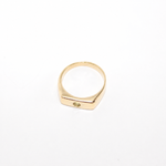 Blume-Jewellery-Single-Stone-Chunky-Rectangle-Signet=Ring-9-Carat-Solid-Gold-Yellow-classic-gemstone-Peridot-Garnet-Aquamarine-Citrine-Amethyst-pinky-ring-cool-modern-everyday-timeless