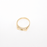 Blume-Jewellery-Single-Stone-Chunky-Rectangle-Signet=Ring-9-Carat-Solid-Gold-Yellow-classic-gemstone-Peridot-Garnet-Aquamarine-Citrine-Amethyst-pinky-ring-cool-modern-everyday-timeless