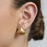 Shell Ear Studs
