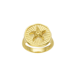 Feggeri-Astra-Chunky-Signet-Pinky-Ring-Gold-Vermeil-Starfish-Round-Star-Marine-Statement