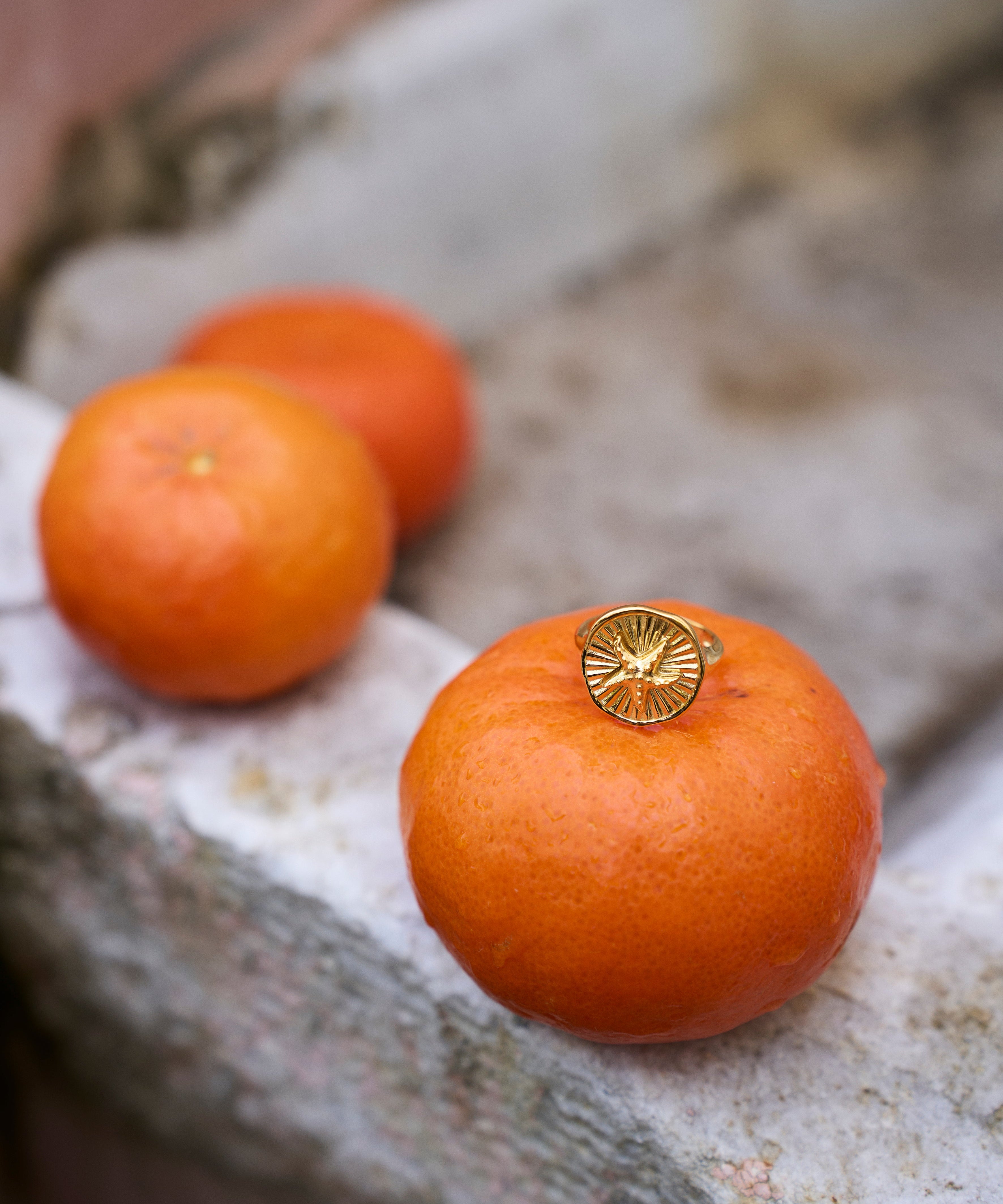 Feggeri-Astra-Chunky-Signet-Pinky-Ring-Gold-Vermeil-Starfish-Round-Star-Marine-Statement