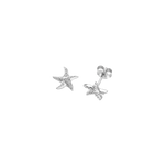 Feggeri-Astra-Starfish-Star-Marine-Sealife-Aqua-Stud-Earrings-Sterling-Silver-Platinum