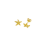 Feggeri-Astra-Starfish-Star-Stud-Earrings-Gold-Vermeil