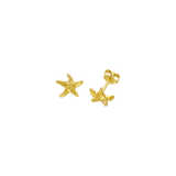 Feggeri-Astra-Starfish-Star-Stud-Earrings-Gold-Vermeil