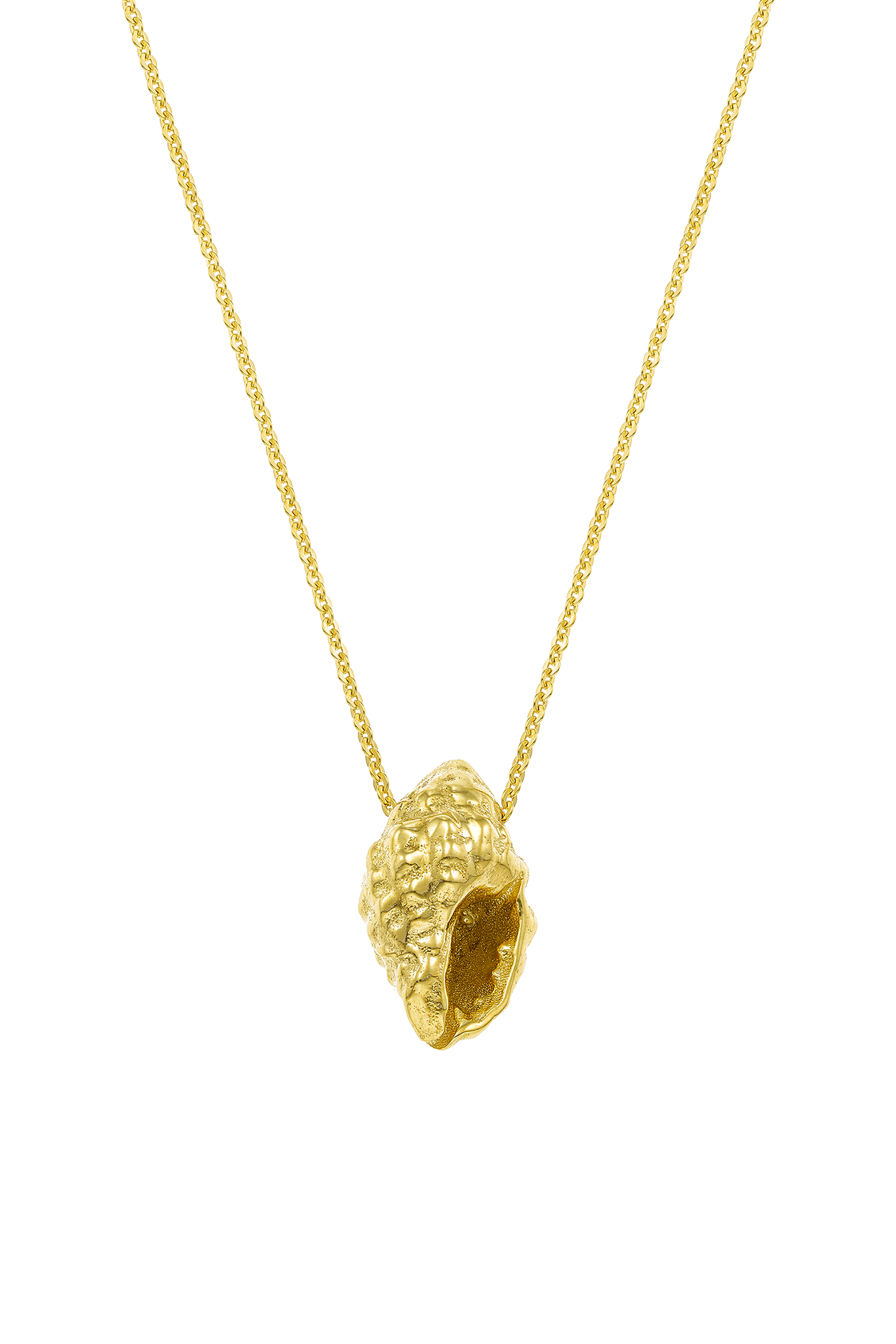Feggeri-Shell-Conch-Pendant-Marine-Coastal-Necklace-Gold-Vermeil-Chain
