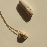 Feggeri-Shell-Conch-Pendant-Marine-Coastal-Necklace-Gold-Vermeil-Chain