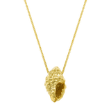 Shell Conch Necklace Gold