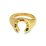Junk-Jewels-Kaleidoscope-Lucky-Horseshoe-Charm-Multicoloured-rainbow-gemstone-stone-Signet-Ring-gold-silver