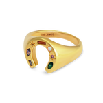 Junk-Jewels-Kaleidoscope-Lucky-Horseshoe-Charm-Multicoloured-rainbow-gemstone-stone-Signet-Ring-gold-silver