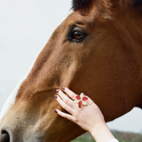 Squeeze-London-Little-Kiss-Statement-Flower-Cocktail-Ring-Ruby-Red-Gold-Vermeil