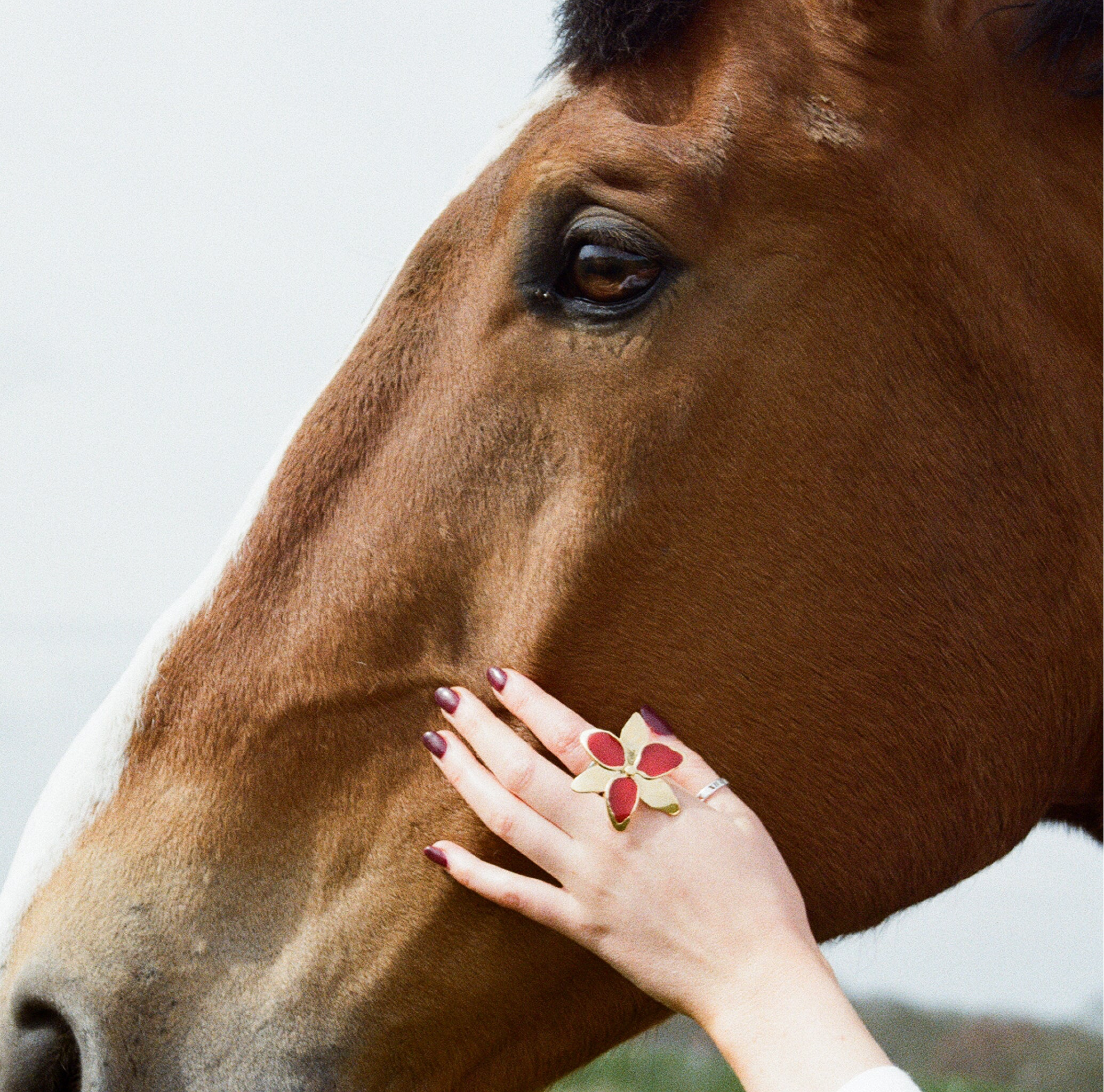Squeeze-London-Little-Kiss-Statement-Flower-Cocktail-Ring-Ruby-Red-Gold-Vermeil