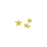Feggeri-Astra-Starfish-Star-Stud-Earrings-Gold-Vermeil