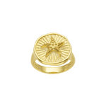 Feggeri-Astra-Chunky-Signet-Pinky-Ring-Gold-Vermeil-Starfish-Round-Star-Marine-Statement