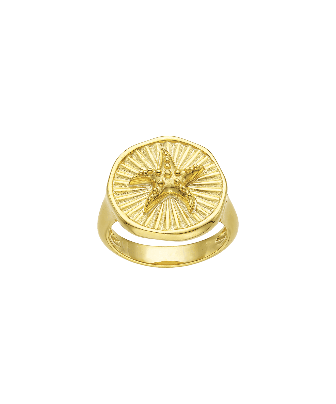 Feggeri-Astra-Chunky-Signet-Pinky-Ring-Gold-Vermeil-Starfish-Round-Star-Marine-Statement