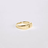 Blume-Jewellery-Single-Stone-Chunky-Rectangle-Signet=Ring-9-Carat-Solid-Gold-Yellow-classic-gemstone-Peridot-Garnet-Aquamarine-Citrine-Amethyst-pinky-ring-cool-modern-everyday-timeless