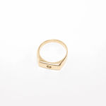 Blume-Jewellery-Single-Stone-Chunky-Rectangle-Signet=Ring-9-Carat-Solid-Gold-Yellow-classic-gemstone-Peridot-Garnet-Aquamarine-Citrine-Amethyst-pinky-ring-cool-modern-everyday-timeless