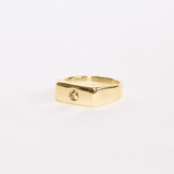 Blume-Jewellery-Single-Stone-Chunky-Rectangle-Signet=Ring-9-Carat-Solid-Gold-Yellow-classic-gemstone-Peridot-Garnet-Aquamarine-Citrine-Amethyst-pinky-ring-cool-modern-everyday-timeless