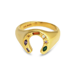 Junk-Jewels-Kaleidoscope-Lucky-Horseshoe-Charm-Multicoloured-rainbow-gemstone-stone-Signet-Ring-gold-silver