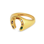 Junk-Jewels-Kaleidoscope-Lucky-Horseshoe-Charm-Multicoloured-rainbow-gemstone-stone-Signet-Ring-gold-silver