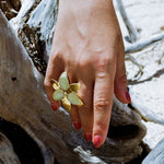 Little Kiss Ring French Vanilla - Golden
