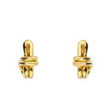 Pablo Earrings Silver