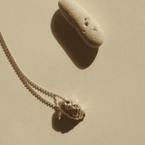 Feggeri-Shell-Conch-Pendant-Marine-Coastal-Necklace-Gold-Vermeil-Chain