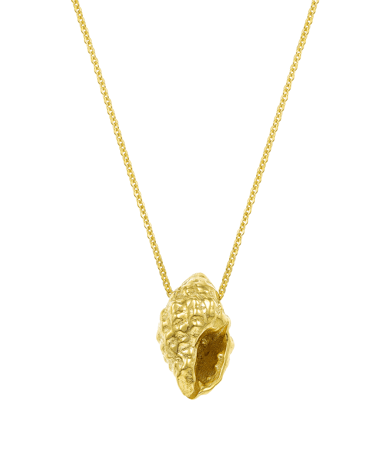 Feggeri-Shell-Conch-Pendant-Marine-Coastal-Necklace-Gold-Vermeil-Chain