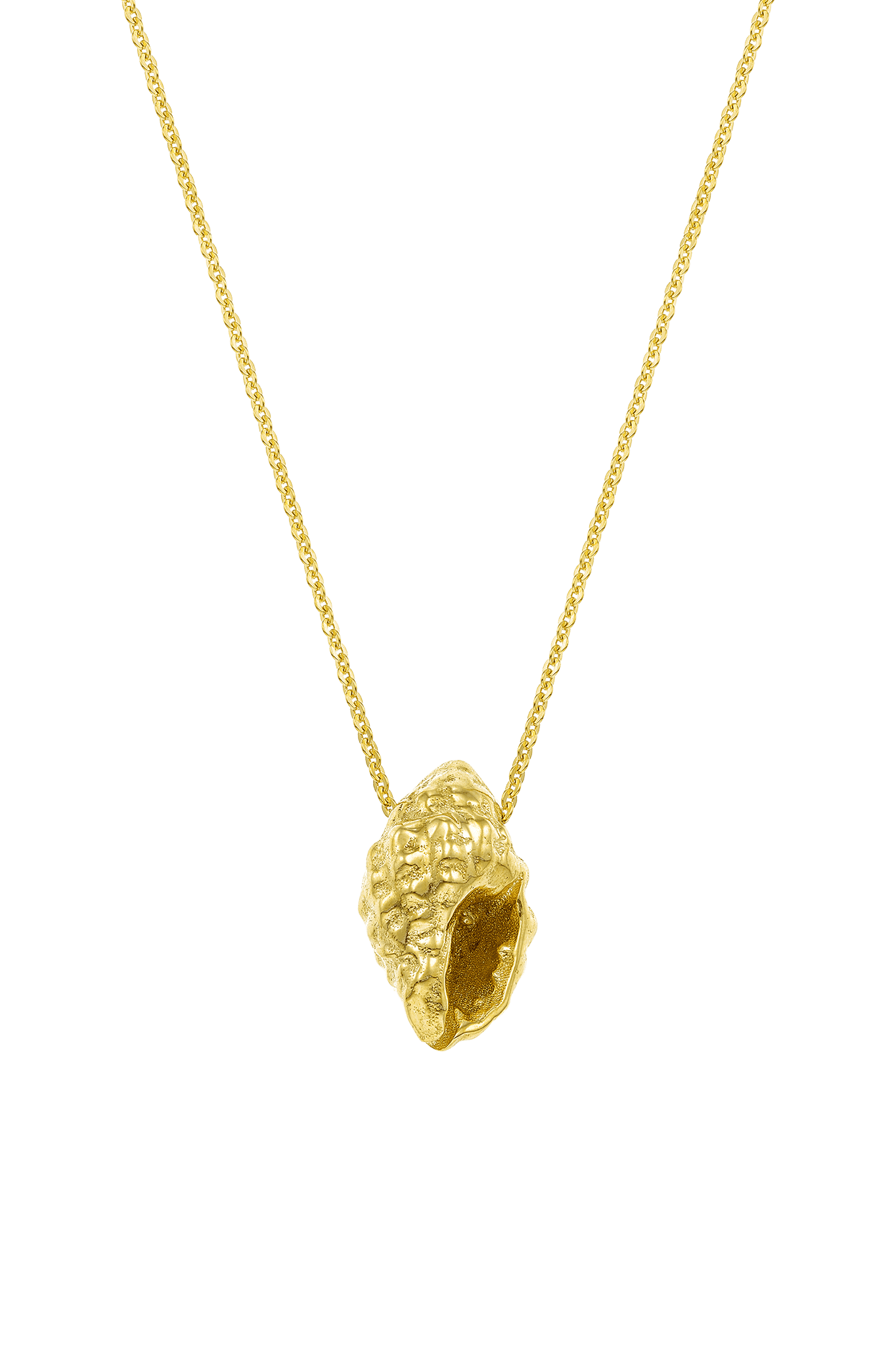 Feggeri-Shell-Conch-Pendant-Marine-Coastal-Necklace-Gold-Vermeil-Chain