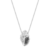 Feggeri-Shell-Conch-Pendant-Necklace-Silver-Marine-coastal-Beach-Jewellery