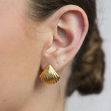 Shell Ear Studs - Golden