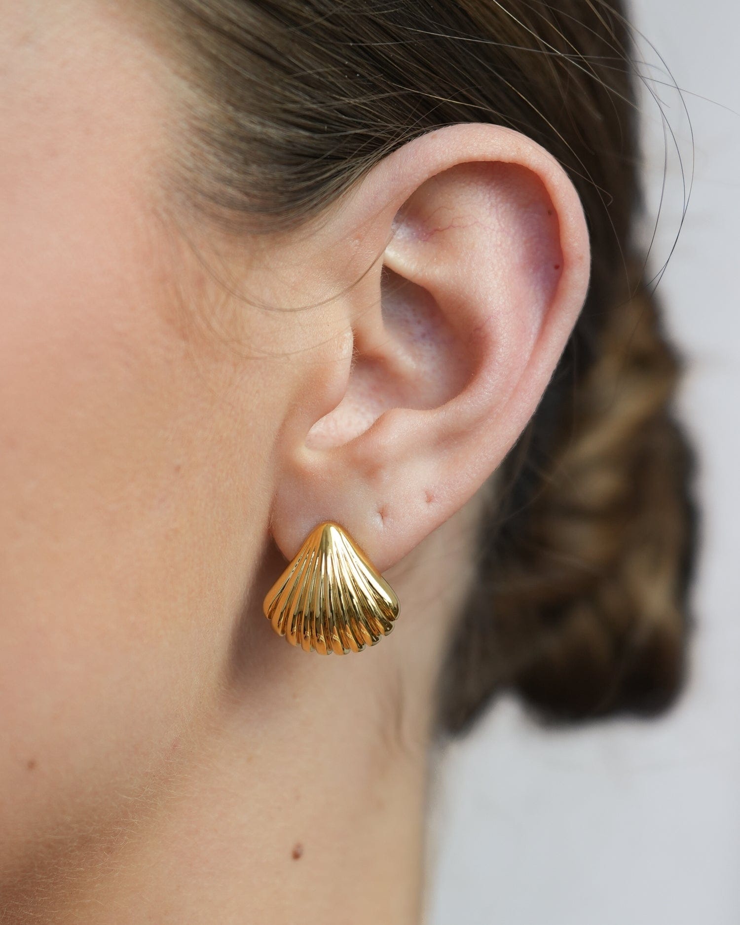 Shell Ear Studs - Golden