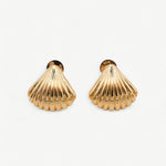 Shell Ear Studs - Golden