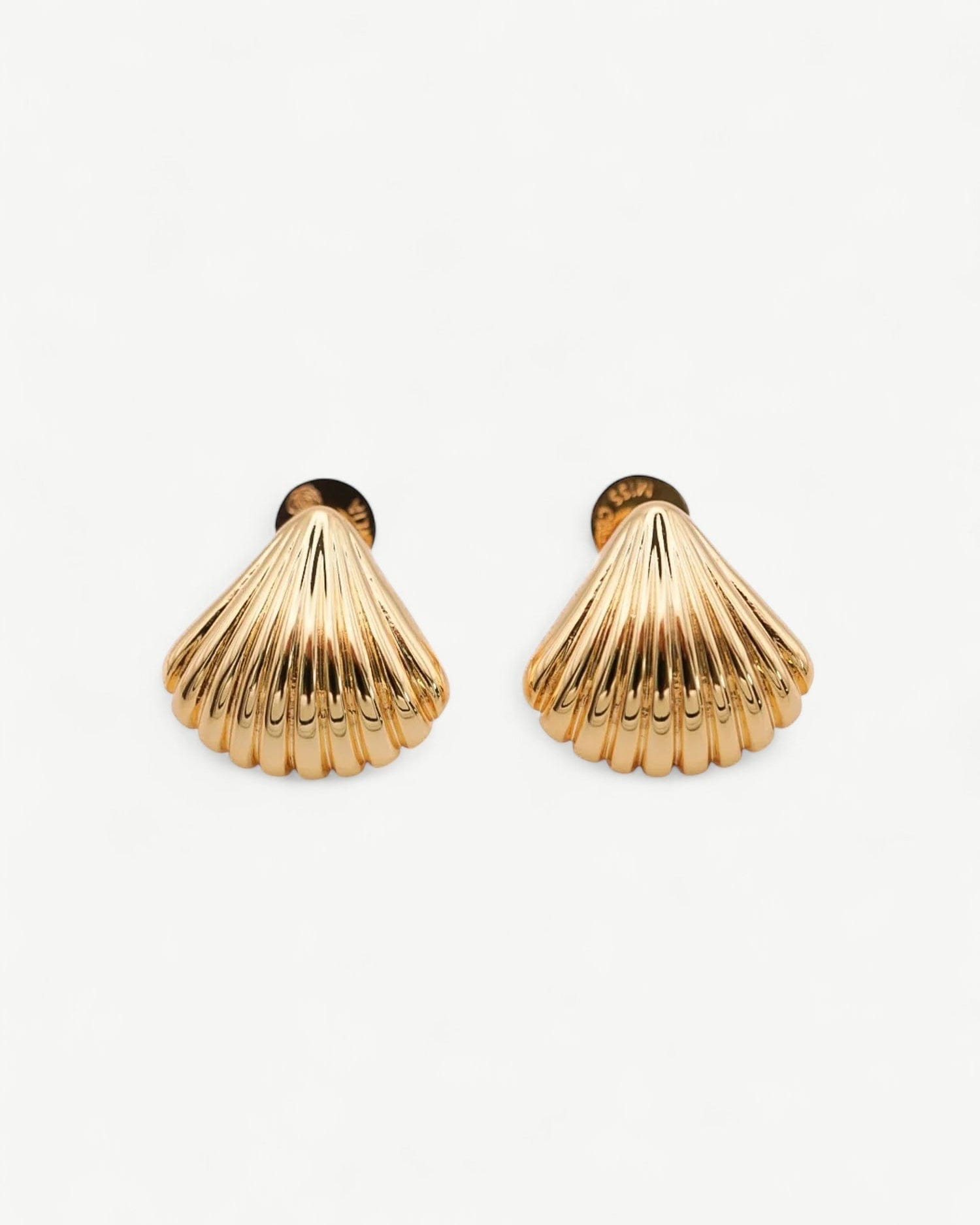 Shell Ear Studs - Golden
