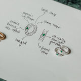 White Topaz Silver Branch Hoop Earrings